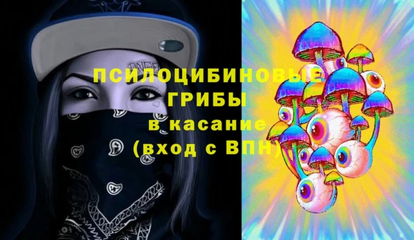 СК Белокуриха