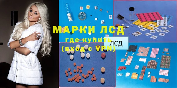 СК Белокуриха