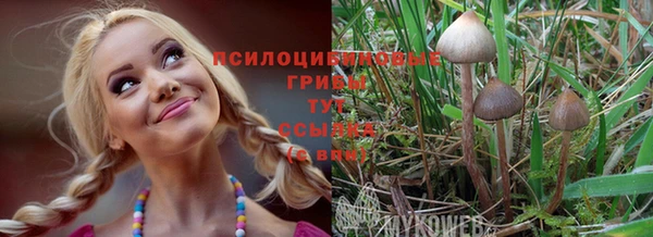 СК Белокуриха